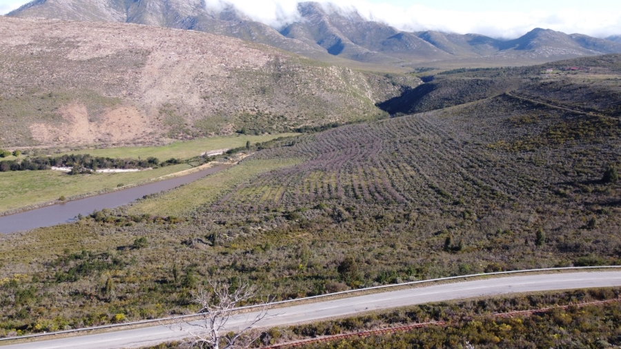 0 Bedroom Property for Sale in Joubertina Eastern Cape